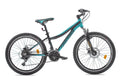 ARDIS 24 MTB AL CLEO