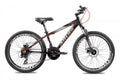 ARDIS 29 MTB AL TITAN