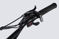 Велосипед з електроприводом 20" AL Dorozhnik ADAMANT DD FR рама-18,5" 48B 17.5А*г 500Вт чорний 2026