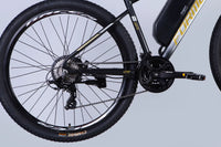 Велосипед з електроприводом 29" AL Formula eF-1 DD CS рама-18,5" 48B 12.5А*г 500Вт сріблясто-чорний 2026