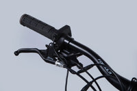 Велосипед з електроприводом 29" AL Formula eF-1 DD CS рама-21" 48B 12.5А*г 500Вт червоно-сріблястий 2026
