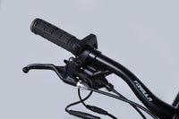 Велосипед з електроприводом 29" AL Formula eF-1 DD CS рама-21" 48B 12.5А*г 500Вт сріблясто-чорний 2026
