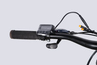 Велосипед з електроприводом 29" AL Formula eMOTION PLUS DD FR рама-19" 36B 12.5А*г 500Вт сіро-сріблястий (матовий) 2026