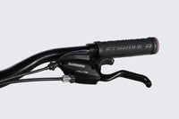 Велосипед AL 29" Formula MOTION DD FR рама-21" темно-сiрий (матовий) 2026