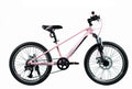ARDIS 20 MTB MG CROSS