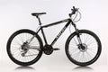 ARDIS 26 MTB AL ION