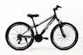 CROSSRIDE 26 MTB ST SHARK